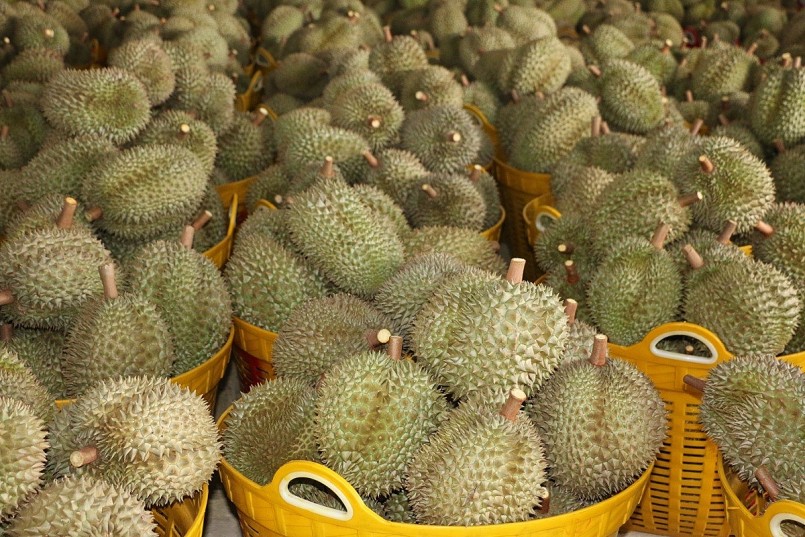 Xây thương hiệu, mở thị trường cho sầu riêng Việt