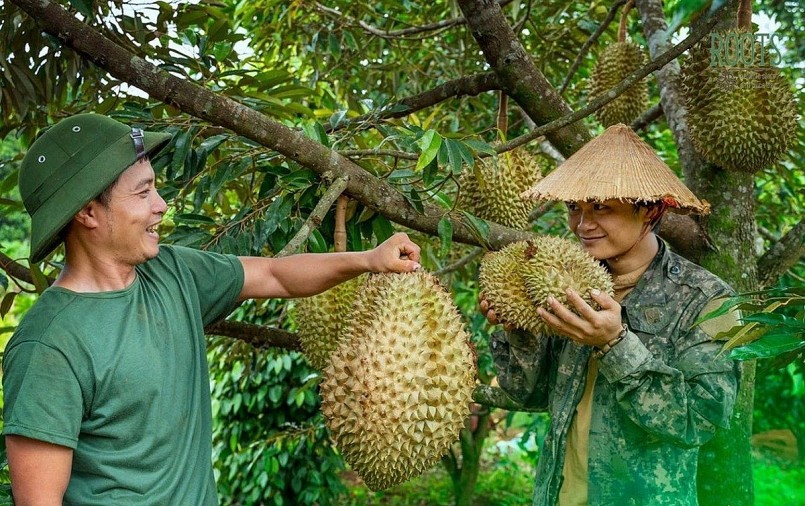 Xây thương hiệu, mở thị trường cho sầu riêng Việt