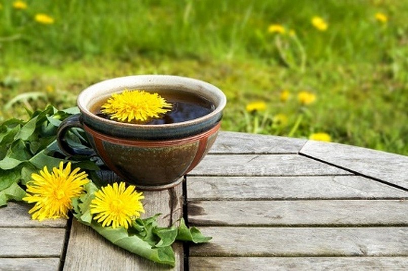 Trà bồ công anh có thể hỗ trợ kiểm soát lượng đường trong máu
