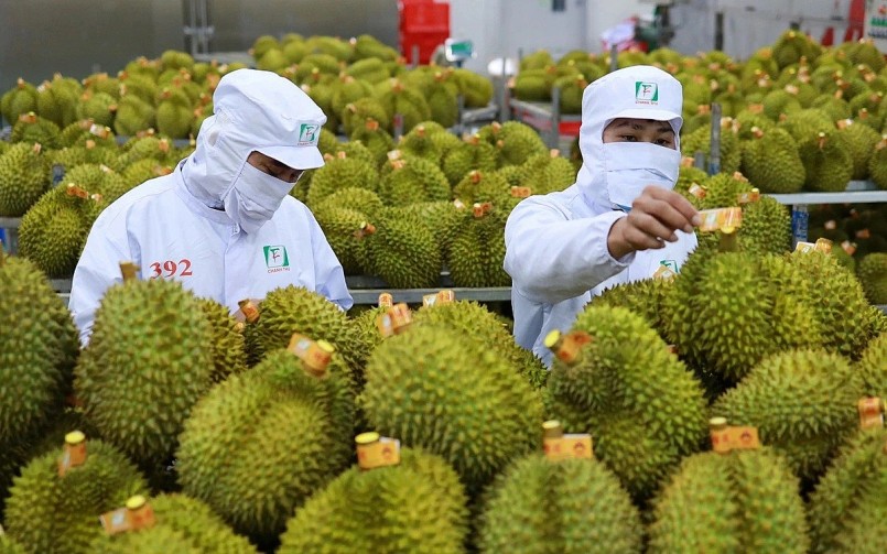 Tái cơ cấu để ngành sầu riêng không “nóng” rồi “nguội”