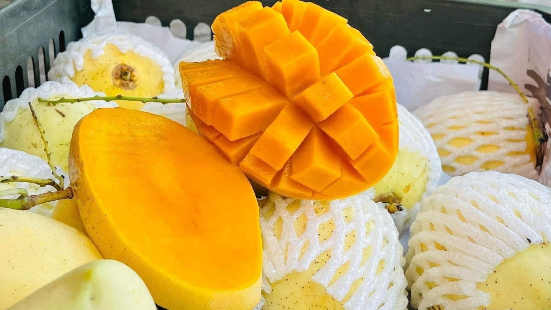 Xuất khẩu xoài tăng trưởng mạnh, Việt Nam đứng thứ 13 thế giới
