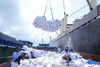 Đề nghị gỡ rào cản trong kinh doanh xuất khẩu gạo