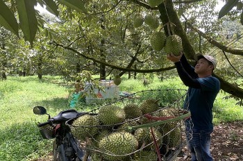Mở rộng kết nối, lan tỏa giá trị nông sản Việt