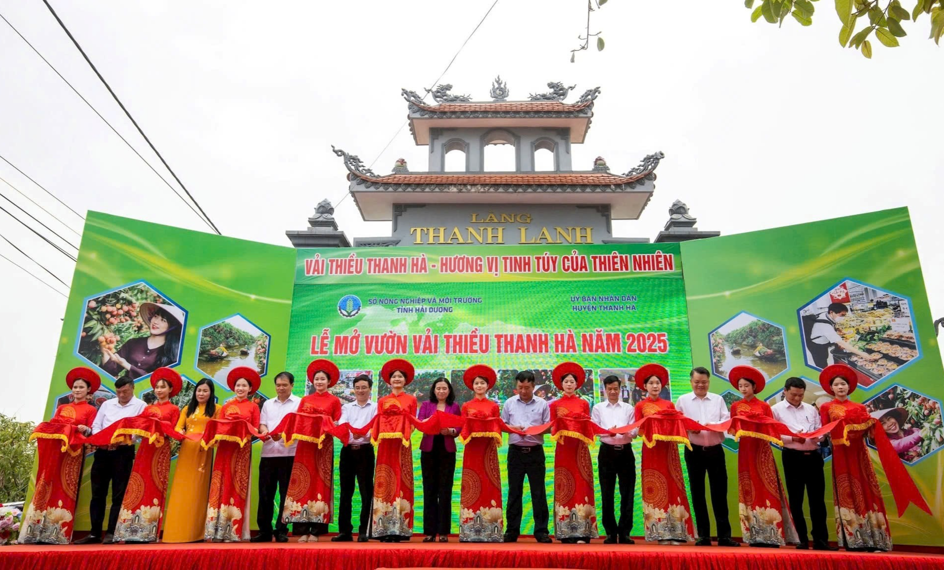 Các đồng chí lãnh đạo tỉnh, huyện cắt băng mở vườn vải năm 2025