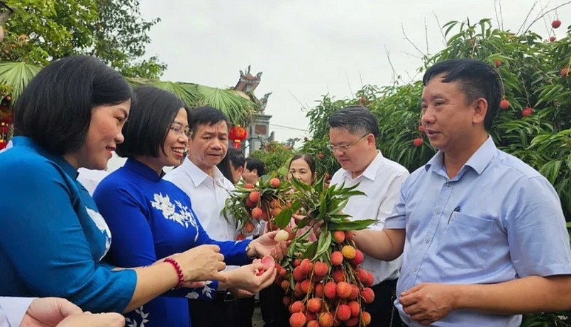 3,7 tấn vải thiều trong mùa vụ 2025 được thu mua từ các xã thuộc huyện Lục Ngạn (Bắc Giang) đã hạ cánh xuống sân bay Nhật Bản ngày 29/5.