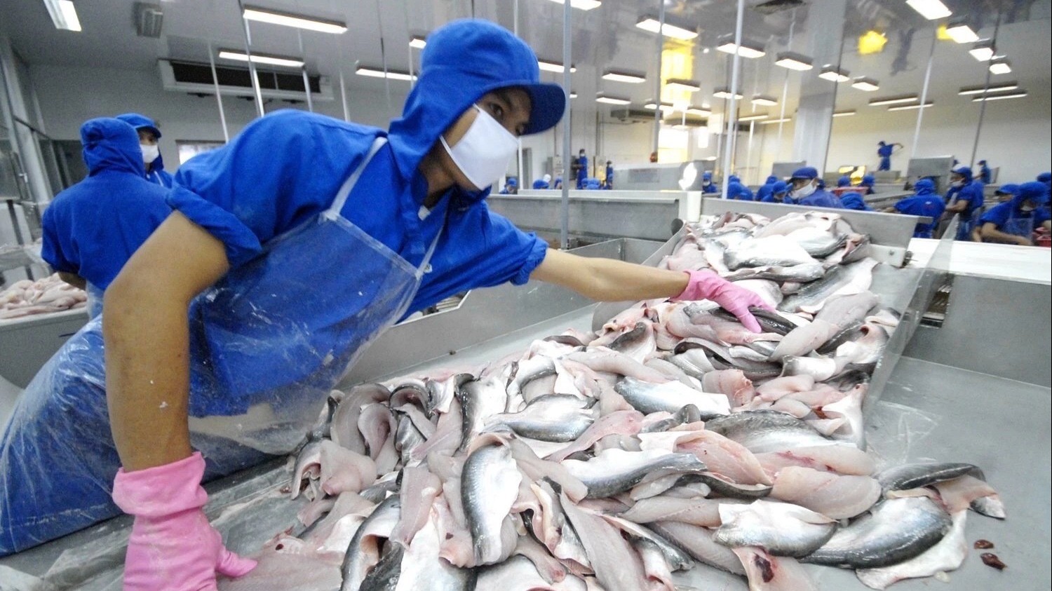 Chuyến đi chiến lược mở đường cho nông sản Việt Nam - Hoa Kỳ phát triển song phương