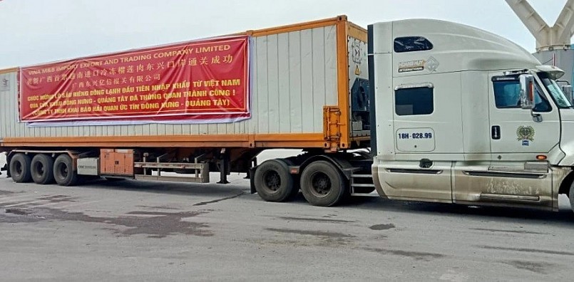 Sầu riêng đông lạnh Việt Nam bứt tốc trên thị trường tỷ dân