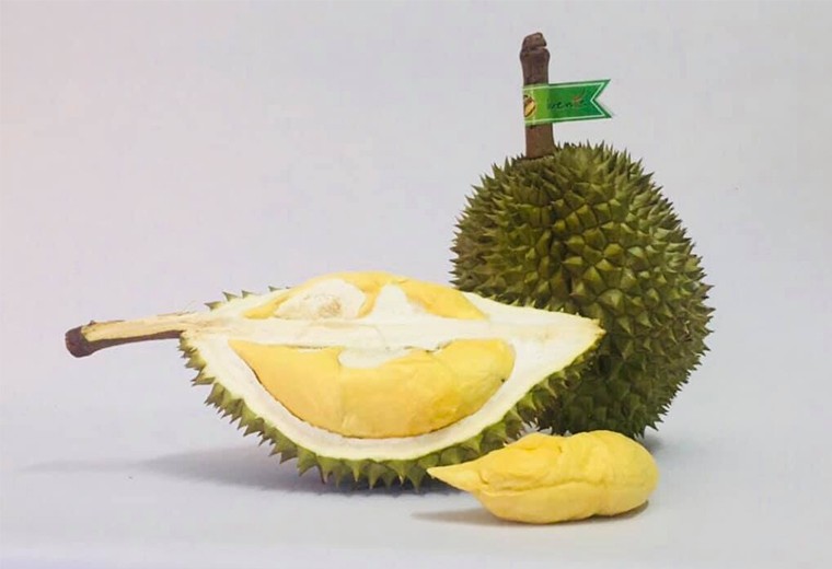 Kiểm tra cadimi trong phân bón là mấu chốt bảo vệ thương hiệu sầu riêng Việt