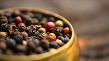 Giá tiêu tăng nhẹ 1.000 đồng/kg, thị trường đang dò đáy và tìm điểm hỗ trợ