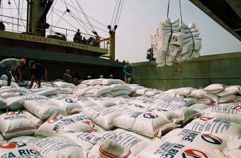 Gạo Việt vươn tầm nhờ chiến lược chất lượng