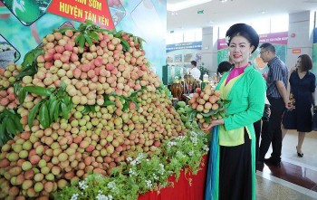 Lan tỏa giá trị thương hiệu Vải thiều Bắc Giang trên thị trường toàn cầu