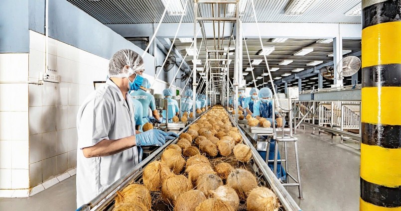 Liên kết chuỗi giá trị nâng tầm thương hiệu dừa Việt