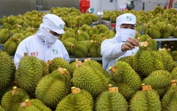 Nông sản Việt vững bước trên hành trình chất lượng