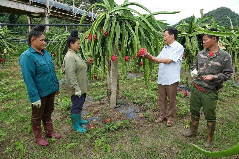 Nông sản Việt vững bước trên hành trình chất lượng