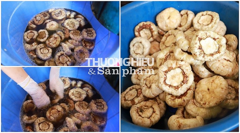 Hồn quê xứ Đoài trong vị cà dầm tương mặn ngọt Hồn quê xứ Đoài trong vị cà dầm tương mặn ngọt