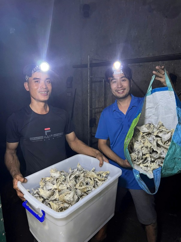Theo anh Tú, người tiêu dùng hoàn toàn có thể nhận biết tổ yến thật và giả thông qua một số đặc điểm cảm quan và kỹ thuật đơn giản.