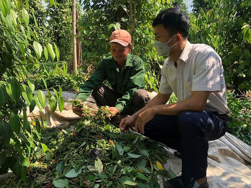 Chủ động kiểm soát chất lượng nông sản xuất khẩu