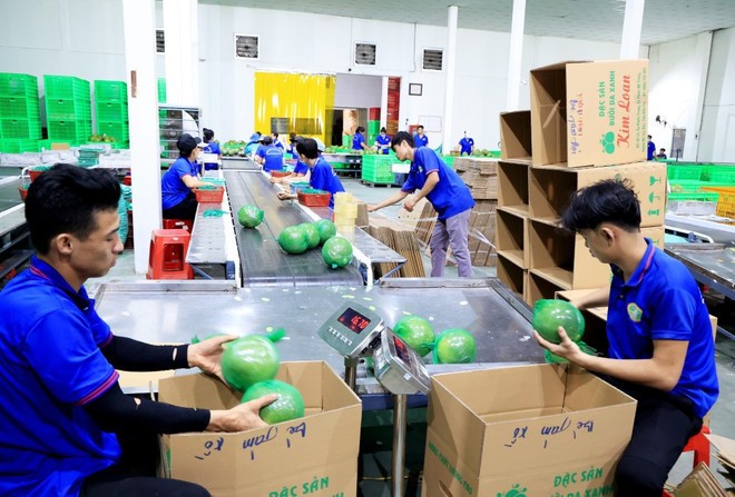 Chủ động kiểm soát chất lượng nông sản xuất khẩu