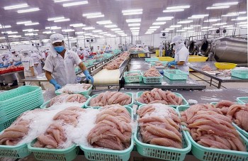 VASEP kiến nghị Thủ tướng Chính phủ chỉ đạo giải pháp bảo vệ ngành thủy sản xuất khẩu