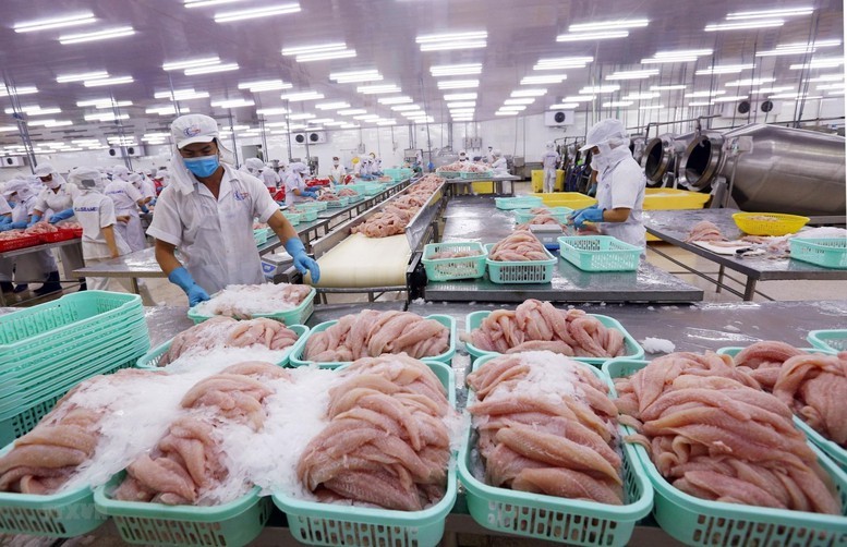 VASEP kiến nghị Thủ tướng Chính phủ chỉ đạo giải pháp bảo vệ ngành thủy sản xuất khẩu