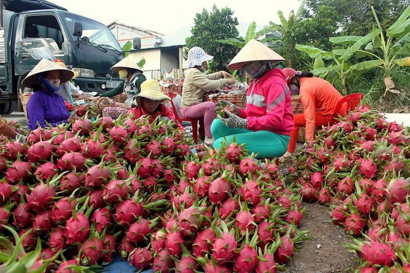 Ngành rau quả chuyển mình trước thử thách mới