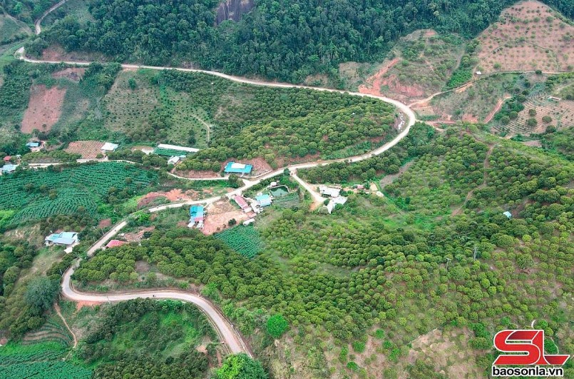 Vân Hồ tập trung chăm sóc cây ăn quả