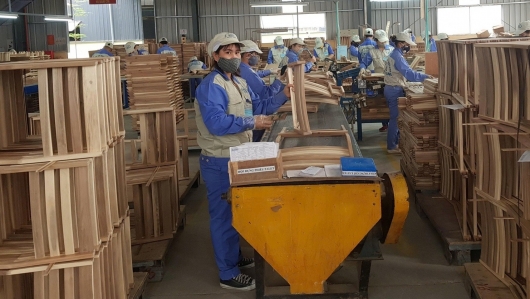 Ngành gỗ Việt Nam buộc phải minh bạch nguồn gốc
