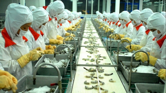 Chớp thời cơ thuế ưu đãi, thủy sản bứt tốc xuất khẩu