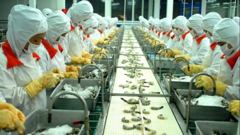 Chớp thời cơ thuế ưu đãi, thủy sản bứt tốc xuất khẩu