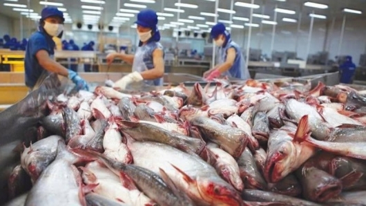 8 doanh nghiệp cá tra – basa Việt Nam được áp thuế 0% khi xuất khẩu sang Hoa Kỳ