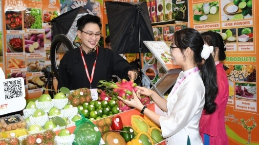 Thương mại điện tử Nhật mở lối cho hàng Việt