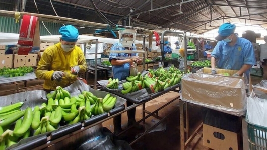 Gỡ rào cản phi thuế quan để hội nhập bền vững