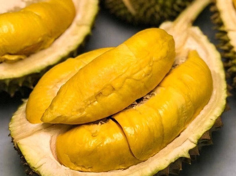 Sầu riêng Việt Nam và bài toán chất lượng: Được mùa nhưng chưa chuẩn