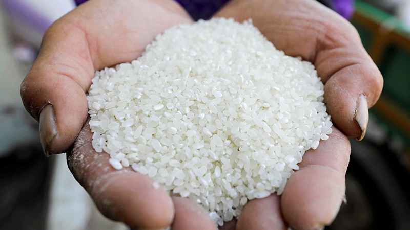 Giá gạo toàn cầu biến động: Thương hiệu quốc gia nào sẽ trụ vững?