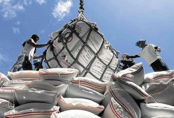 Giá gạo toàn cầu biến động: Thương hiệu quốc gia nào sẽ trụ vững?
