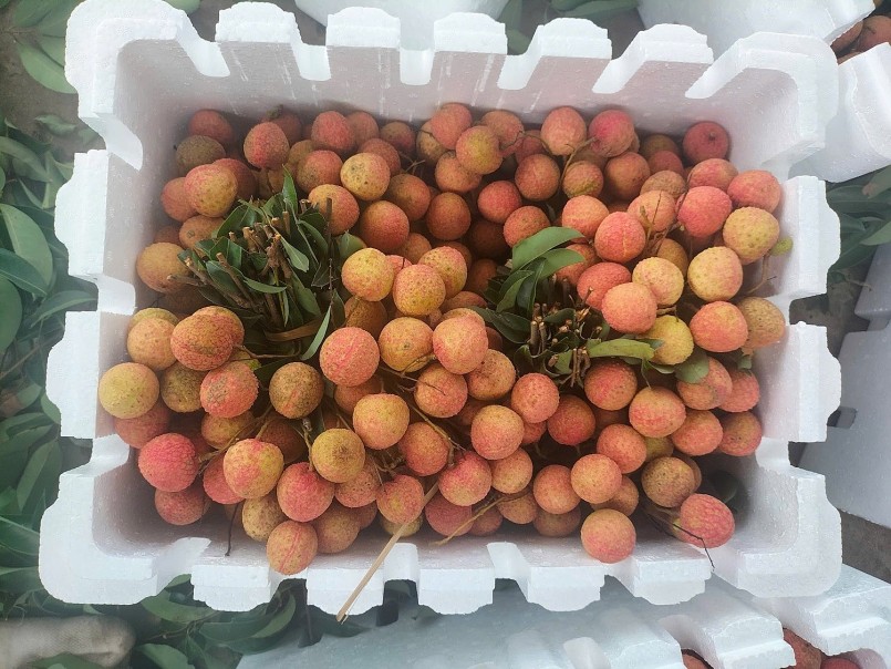 Vải thiều Việt cần thương hiệu riêng
