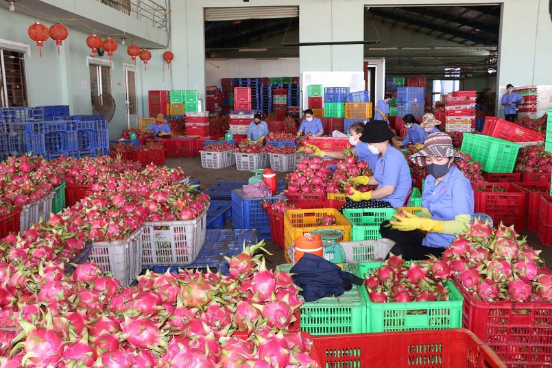 Xuất khẩu nông sản là sân chơi của tiêu chuẩn