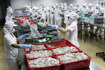Bứt tốc xuất khẩu nông sản cuối năm 2025