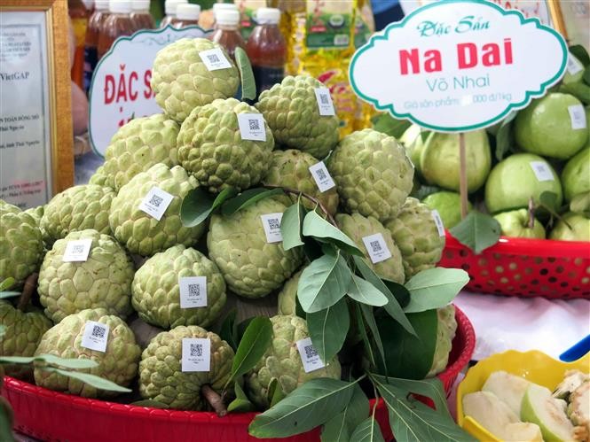 Từ sáp nhập đơn vị hành chính đến xây dựng vùng OCOP liên kết: Hướng đi tất yếu cho phát triển bền vững