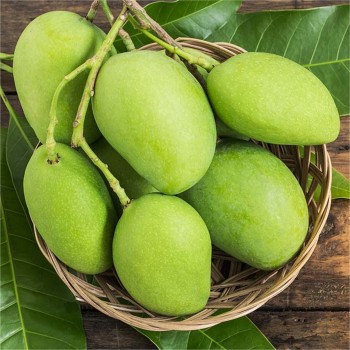Người tiểu đường có nên ăn xoài?