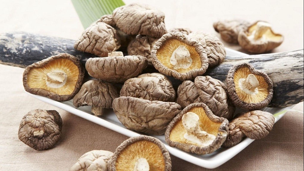 Nấm đông cô – Món ngon “dưỡng sinh” từ thiên nhiên