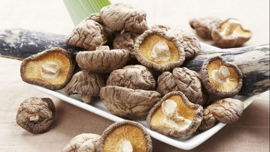 Nấm đông cô – Món ngon “dưỡng sinh” từ thiên nhiên