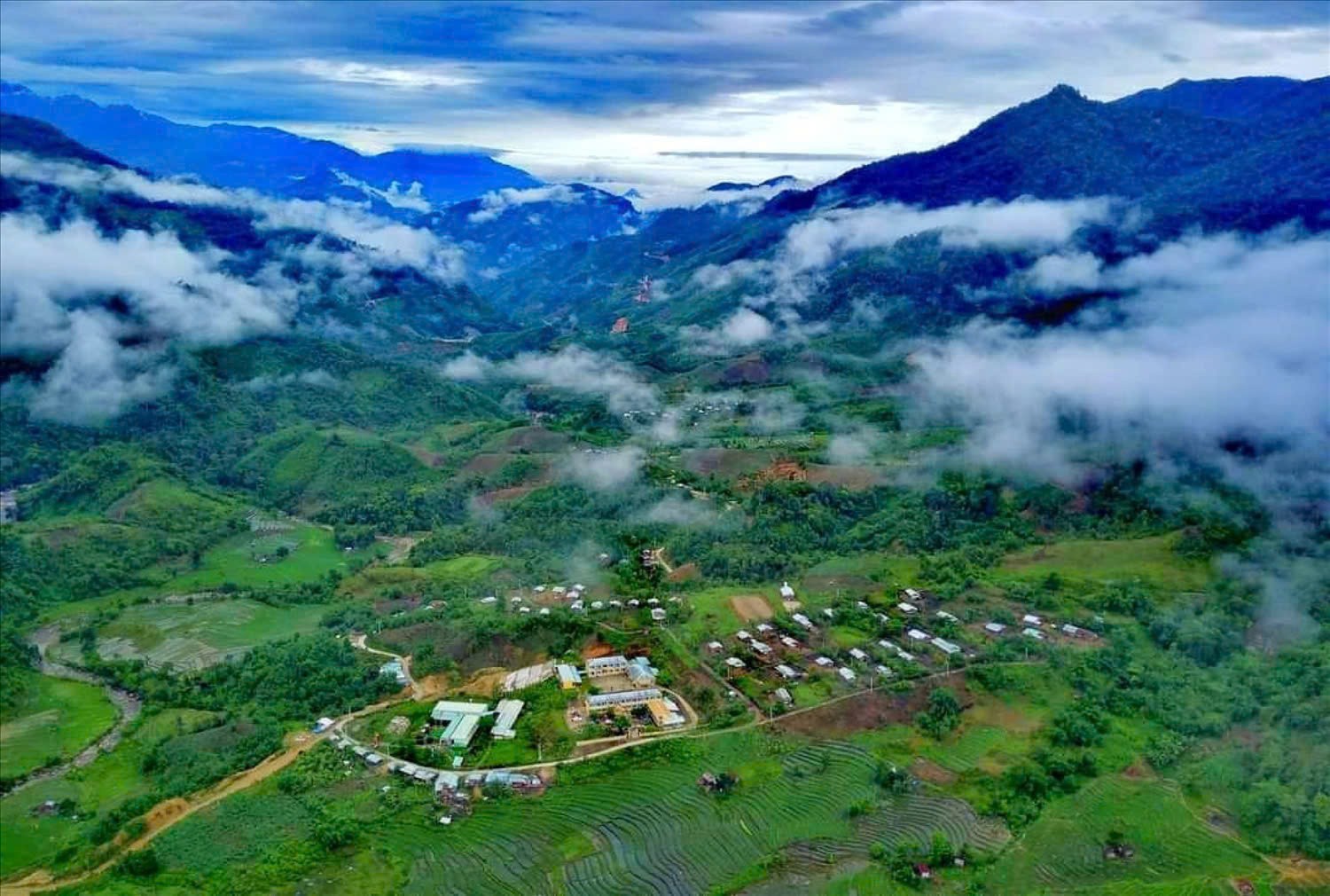 Quy định mới về nuôi, trồng và thu hoạch cây dược liệu trong rừng