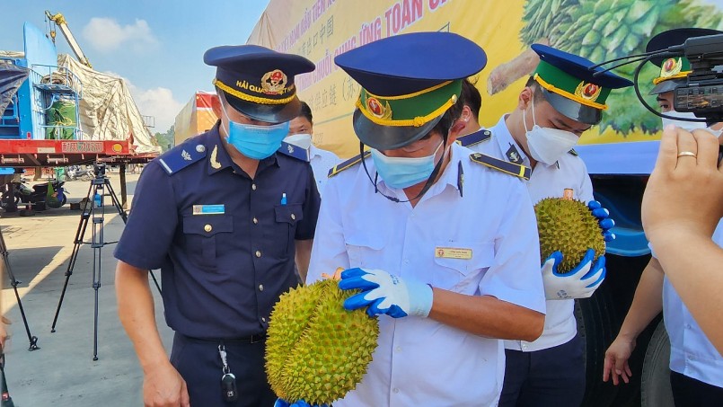 Lô sầu riêng tươi của Việt Nam bị kiểm tra kỹ lưỡng tại cửa khẩu trước khi xuất sang Trung Quốc do yêu cầu siết chặt tiêu chuẩn an toàn thực phẩm.
