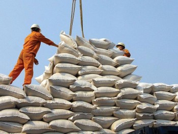 Củng cố thương hiệu gạo Việt Nam xuất khẩu