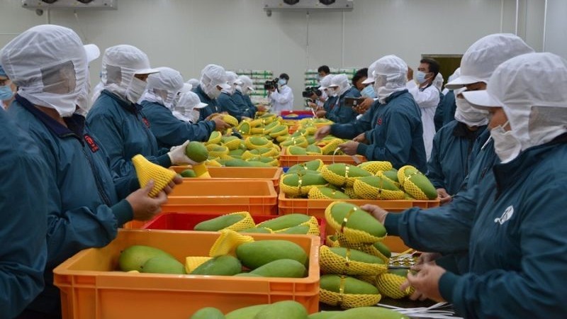 Phát triển thị trường mới cho rau quả Việt