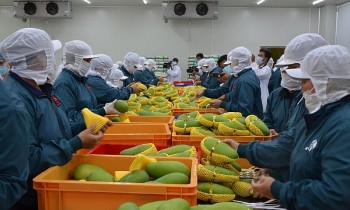 Phát triển thị trường mới cho rau quả Việt