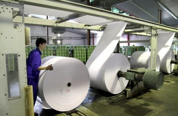 Ngành giấy Việt Nam trước ngưỡng chuyển đổi xanh: Làm gì để giữ vững thương hiệu nội địa?