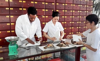 Thanh toán BHYT cho thuốc y học cổ truyền: Cơ hội cho dược liệu Việt