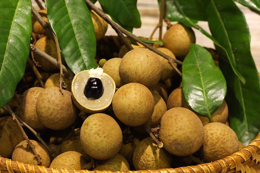 Cơ hội vàng để khẳng định thương hiệu nhãn lồng Hưng Yên trên thị trường quốc tế